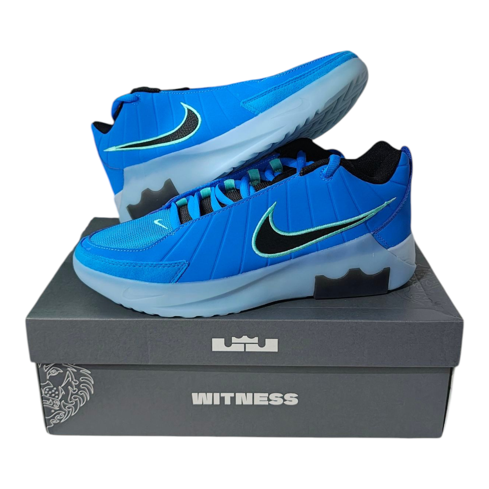 Zapatillas LeBron Witness IX - Talla US 10 (28 cms)